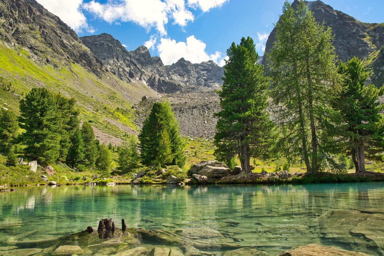 גלטור Alpinhotel Monte Superior - Silvretta Card Premium Betrieb מראה חיצוני תמונה